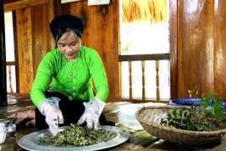 Đánh thức vị giác núi rừng Tây Bắc giữa lòng Nghĩa Đô
