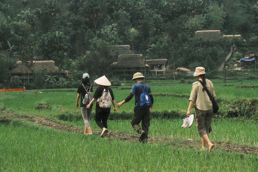 🌿 Tour đi bộ khám phá Nghĩa Đô – Một ngày sống chậm giữa bản làng