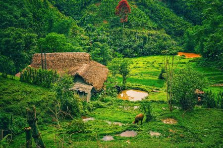 Nghĩa Đô 2 ngày 1 đêm: Khám phá mô hình du lịch xanh