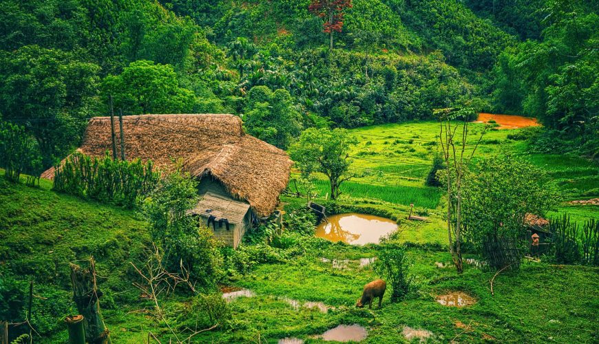 Nghĩa Đô 2 ngày 1 đêm: Khám phá mô hình du lịch xanh